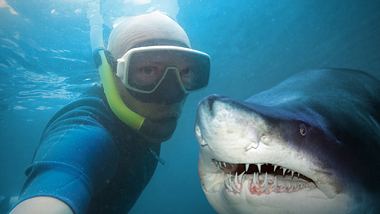 Studie: Selfies töten mehr Menschen als Hai-Attacken