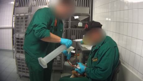 Unglaublich: Grusel-Tierlabor bei Hamburg darf unter Auflagen wieder öffnen