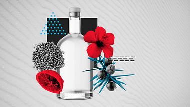 Gin