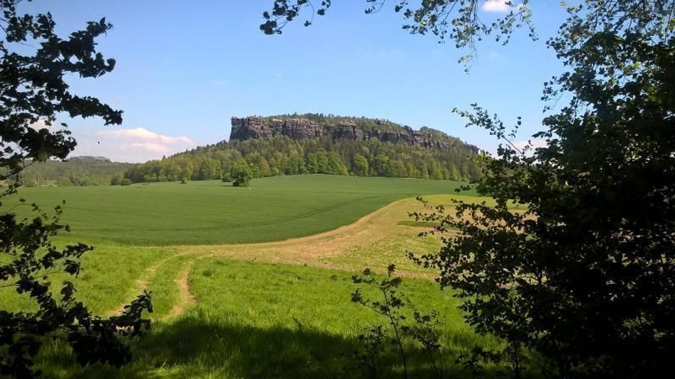 Pfaffenstein