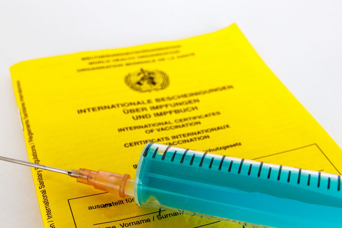 Impfpass und Impfspritze Impfpass und Impfspritze