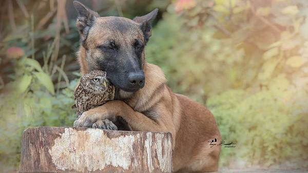 Die unglaubliche Geschichte einer Freundschaft - Foto: Tanja Brandt