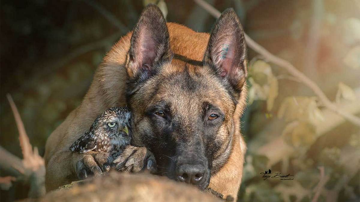 Die unglaubliche Geschichte einer Freundschaft