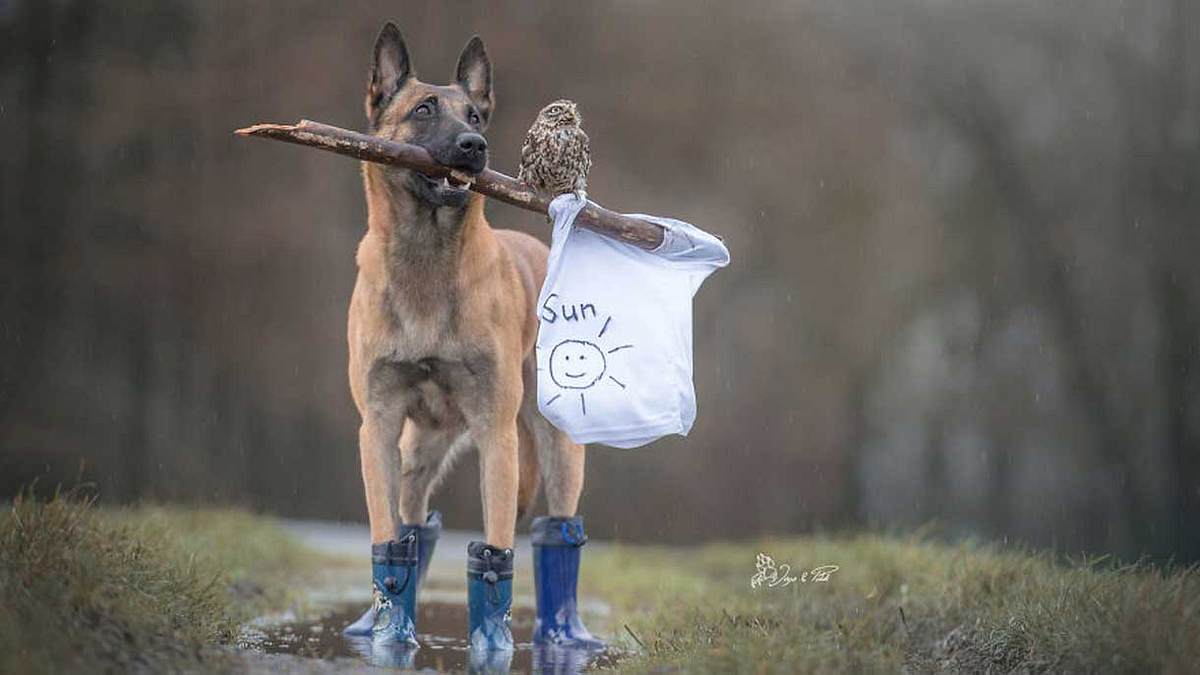 Die unglaubliche Geschichte einer Freundschaft