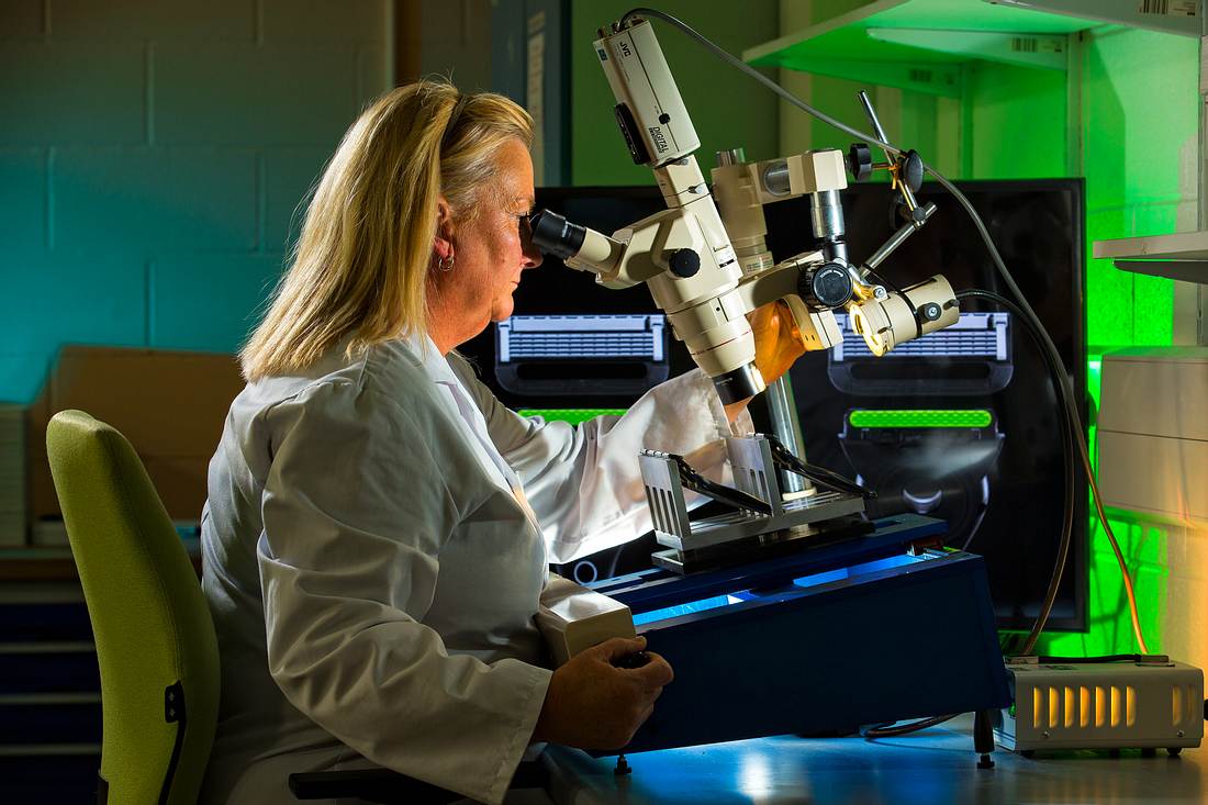 Frau im Innovationszentrum von Gillette Frau im Innovationszentrum von Gillette