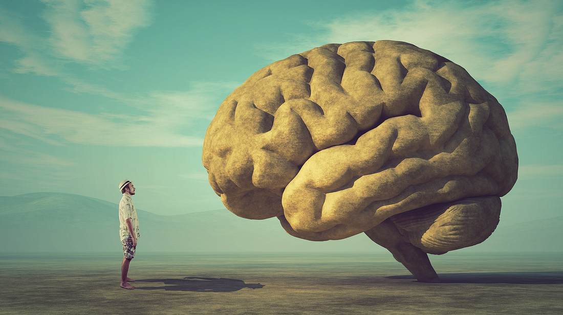Intelligenz Intelligenz
