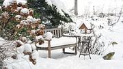 Garten im Winter