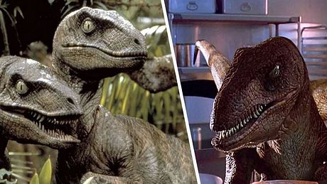 Jurassic Park Velociraptoren - Foto: Universal Pictures