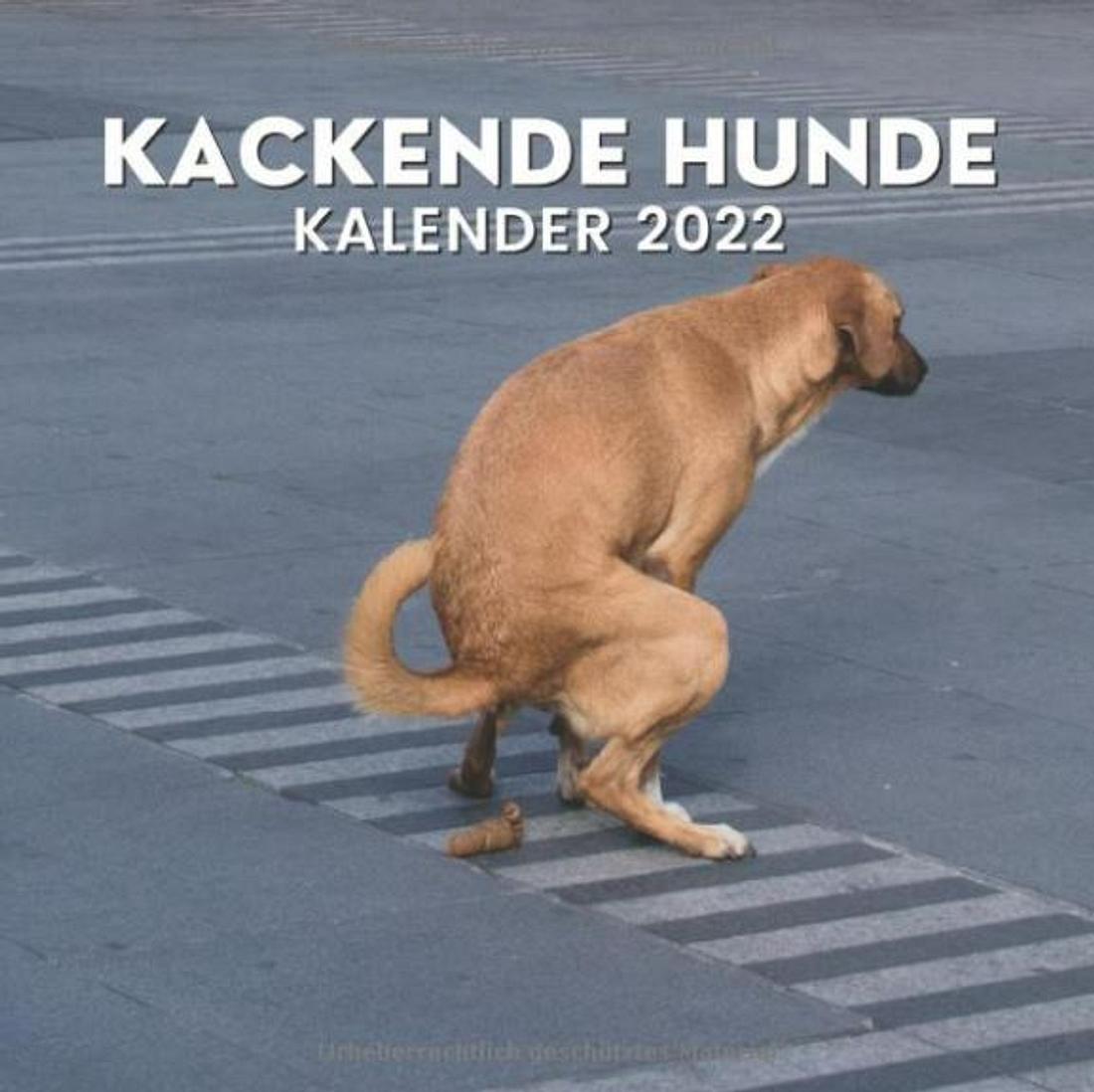 Kackende Hunde Kalender Kackende Hunde Kalender