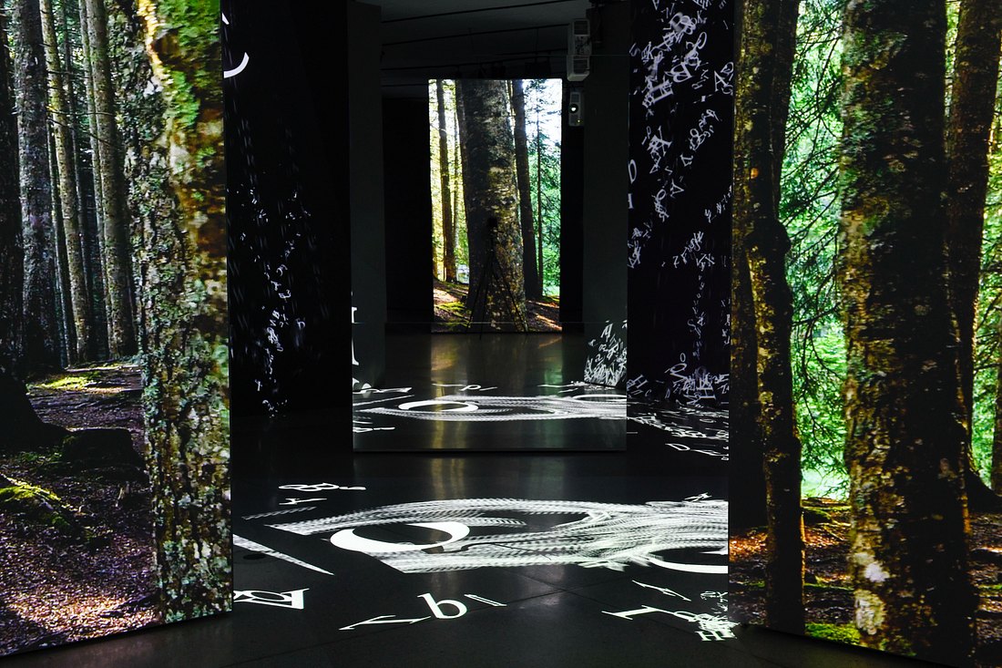 Die Grimmwelt entführt in den Finsterwald