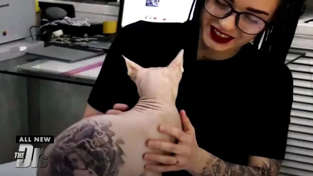 Frau lässt ihre Katze tätowieren  - Foto: YouTube /  The Doctors