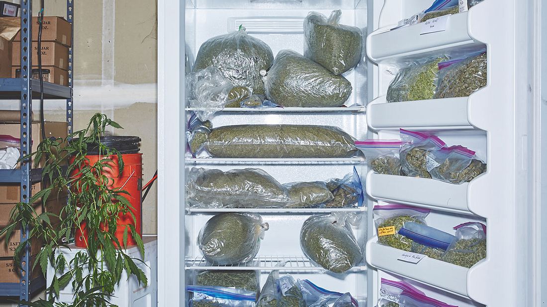 Der Kühlschrank ist gefüllt mit mehreren Kilogramm Gras. Kiffernonnen