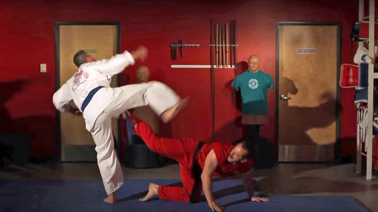 Klöten-Kung-Fu: 100 Techniken, jemandem in die Eier zu treten.