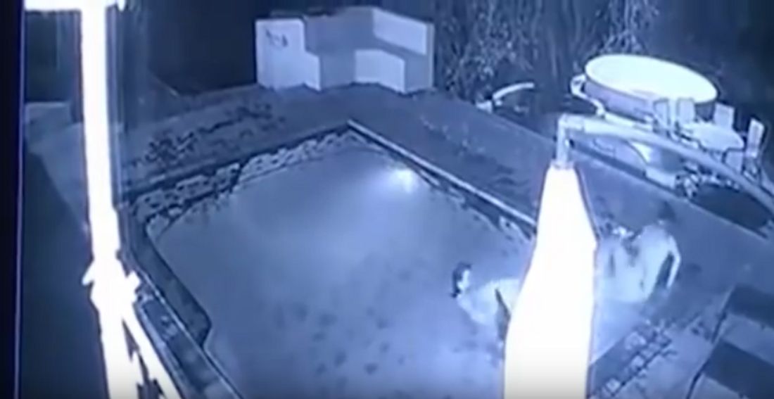 Zimbabwe: Eine Überwachungskamera filmt Krokodil-Angriff auf ein Pärchen im Swimming-Pool