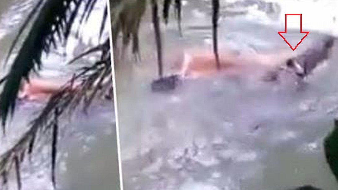 Nach Schamanen-Befehl: Ein Krokodil birgt den Körper eines toten indonesischen Mannes - Foto: YouTube/WatchIt