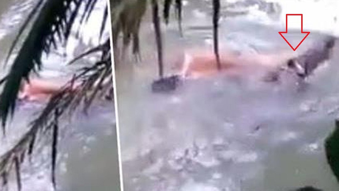 Voodoo-Priester befiehlt, Krokodil führt aus: Der Leichnam eines Indonesiers wird aus einem Fluss geborgen Nach Schamanen-Befehl: Ein Krokodil birgt den Körper eines toten indonesischen Mannes