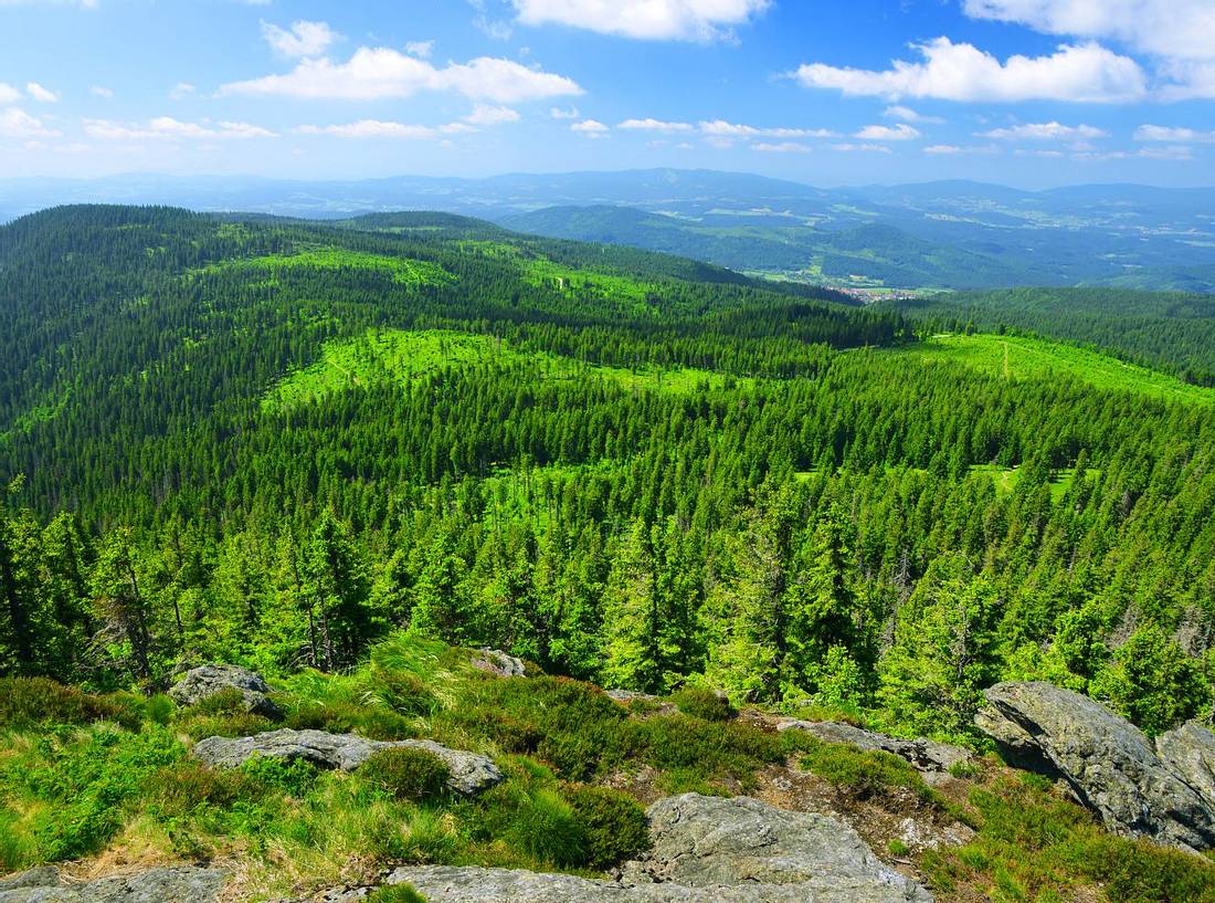 Der Bayerische Wald. Kurzurlaub mit Kindern: Die 10 besten Reisetipps