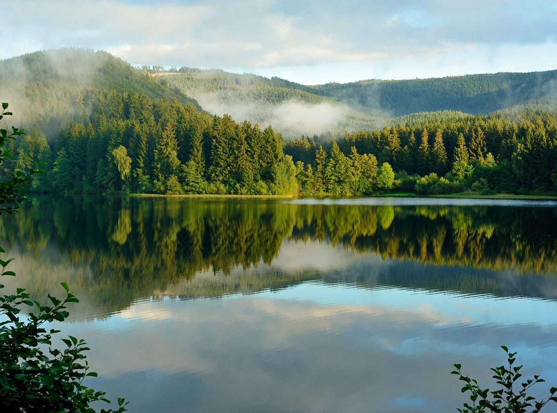 Der Nationalpark Harz. Kurzurlaub mit Kindern: Die 10 besten Reisetipps