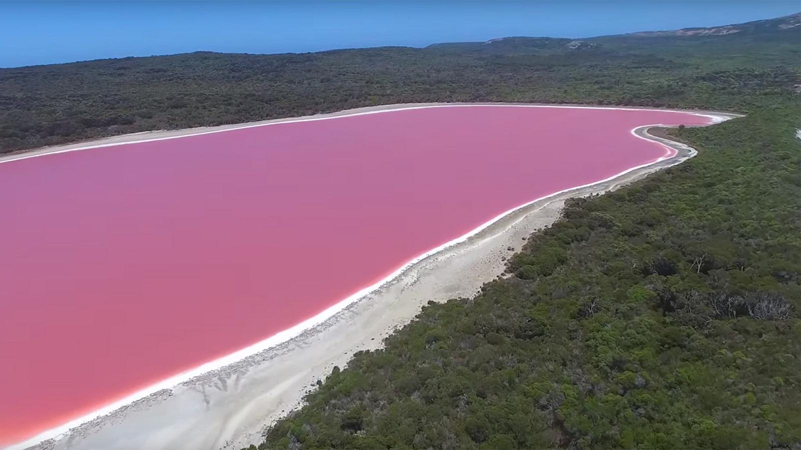 Озеро Хиллер ( розовое озеро)