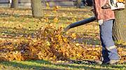 Laubsauger Benzin - Foto: iStock/shura72