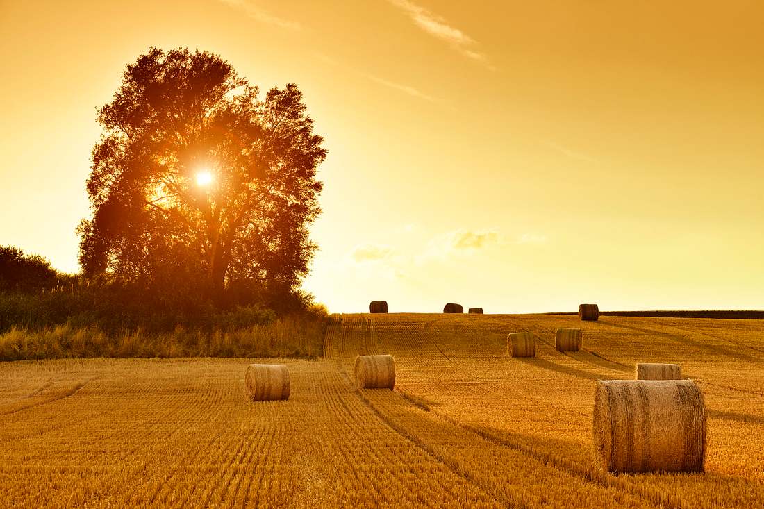 Lebensgefährlich!: Bauer verbietet Sex im Feld Feld mit Strohballen im Sonnenuntergang