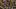 Traumjob bei LEGO - Foto: Getty Images / Dan Kitwood