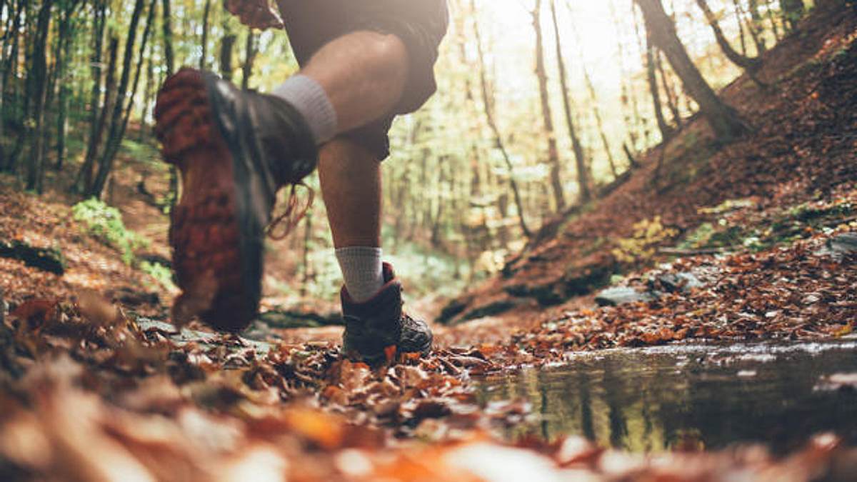 leichte Wanderschuhe Wald