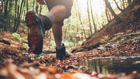 leichte Wanderschuhe Wald - Foto: iStock / Popartic