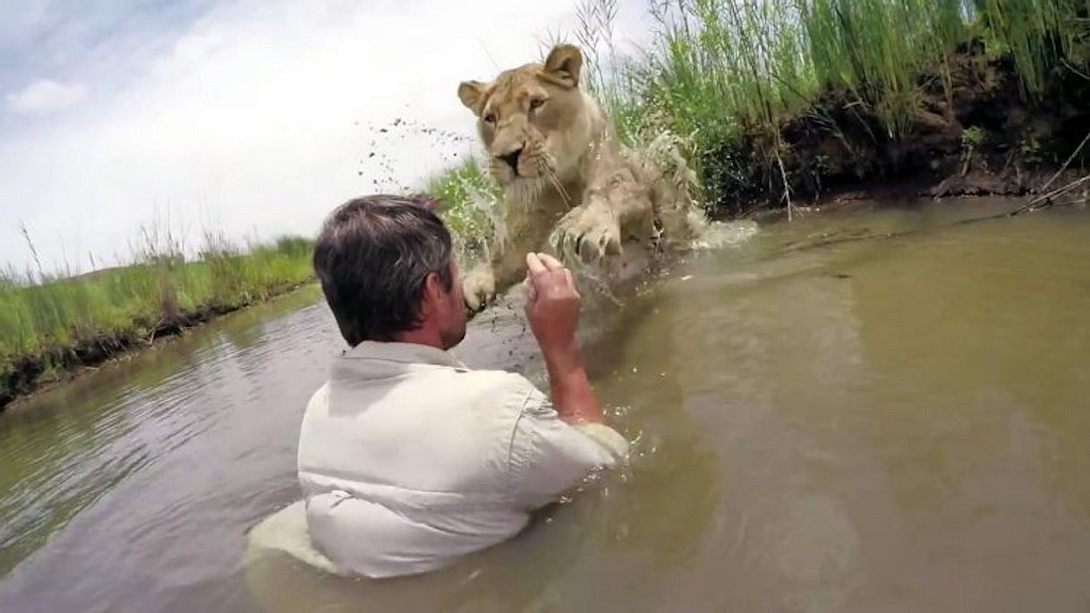 GoPro-Video: Mann retten Löwenjunge, das Wiedersehen ist unglaublich - Foto: Screenshot YouTube/GoPro