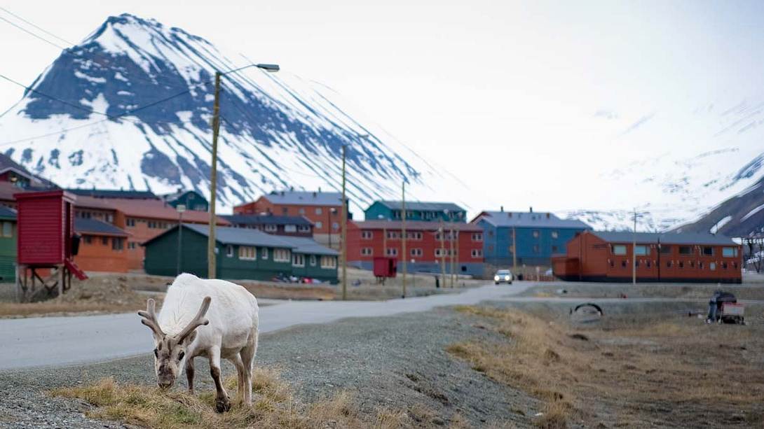 In Longyearbyen ist sterben verboten - Foto: Getty Images / MARTIN BUREAU