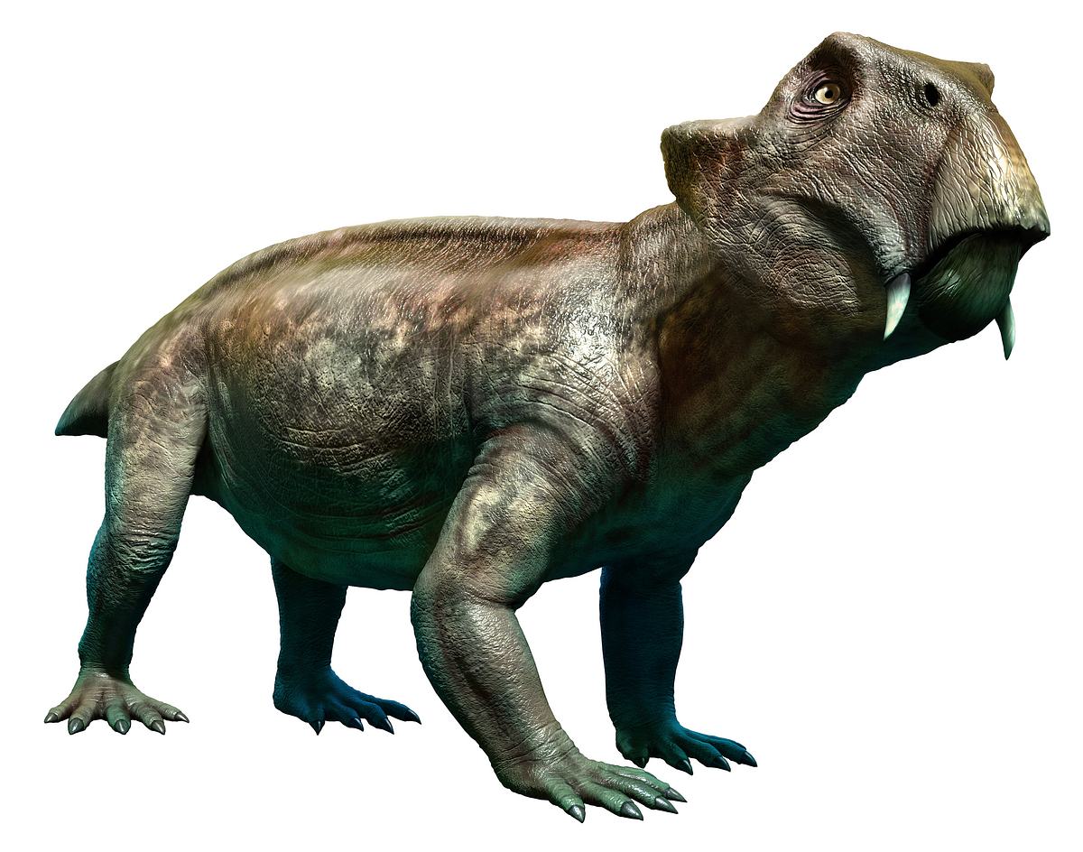 Lystrosaurus