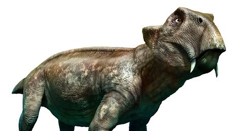 Lystrosaurus - Foto: iStock / Warpaintcobra