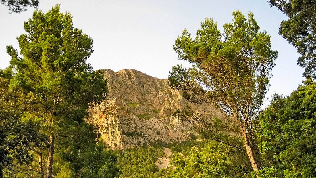 Der Puig Major ist der höchste Berg auf Mallorca Der Puig Major ist der höchste Berg der Insel