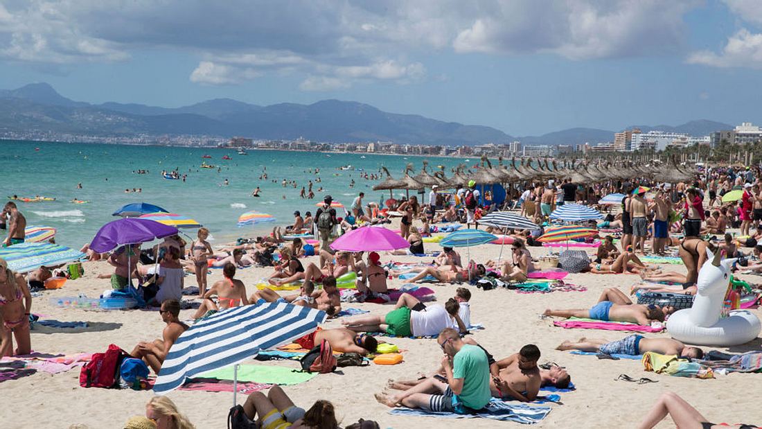 Eine grausame Tradition kehrt nach Mallorca zurück (Symbolfoto) Eine grausame Tradition kehrt nach Mallorca zurück (Symbolfoto)
