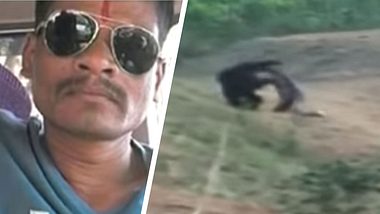 Mann wird in Indien von Bär zerfetzt - Foto: YouTube / Kanak News