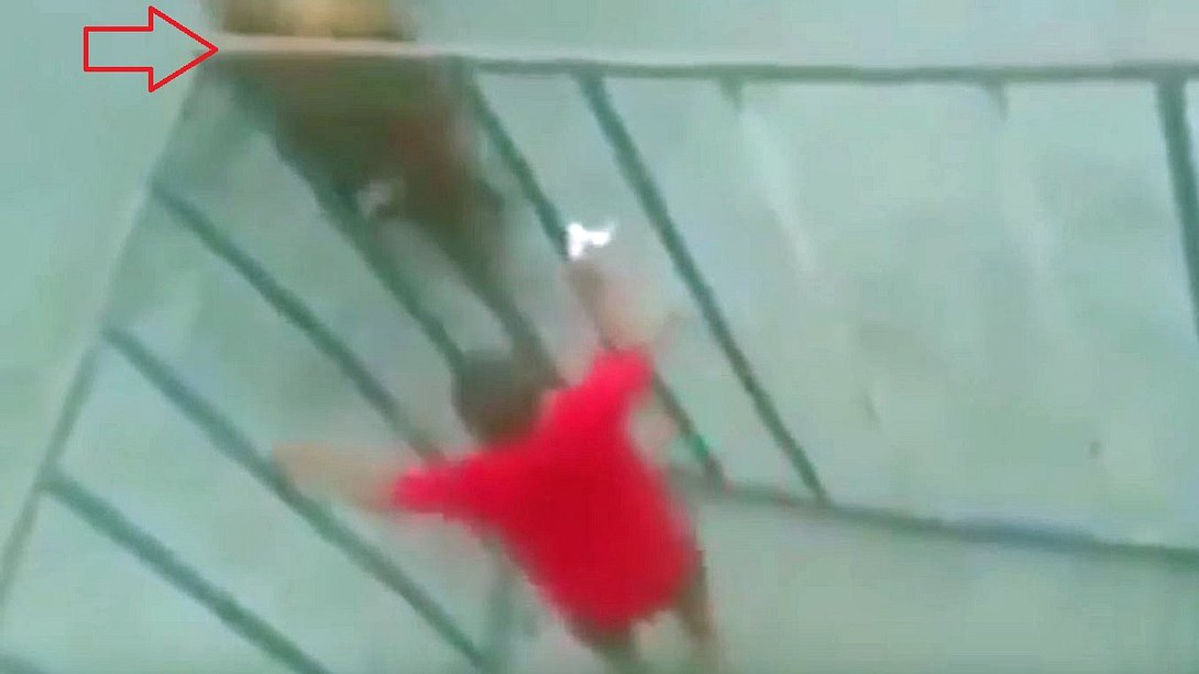 Ein Mann mit roten T-Shirt provoziert einen Stier aus einem Käfig heraus - Foto: YouTube/MillennialNews
