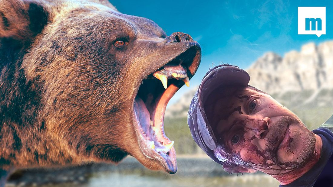 Todd Orr: Kurz nach der Grizzly-Attacke griff er zum Smartphone Mit Grizzlybären ist nicht gut Kirschen essen: Todd Orr musste das am eigenen Leib erfahren