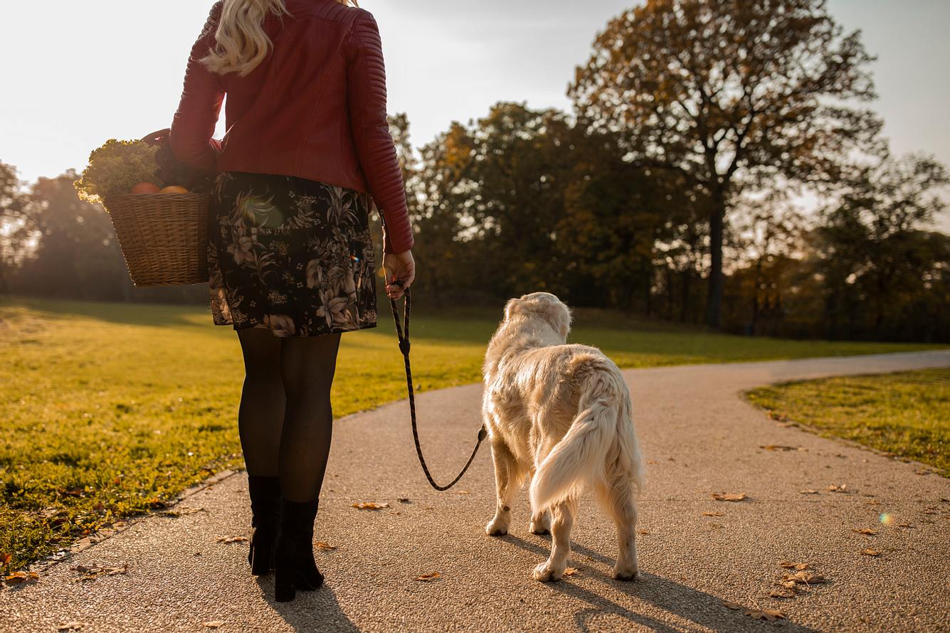 Frau mit Hund im Park