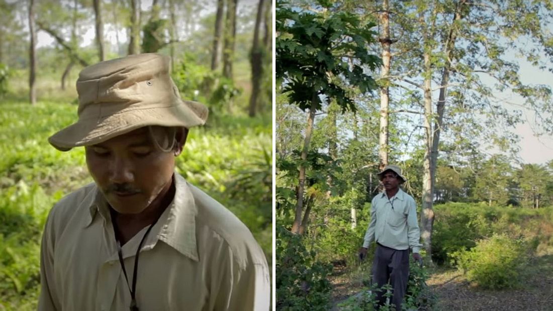Jadav Payend und sein Wald Jadav Payend und sein Wald