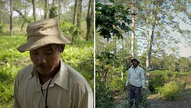 Jadav Payend und sein Wald - Foto: YouTube / William D McMaster