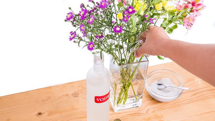 Wodka und Vase - Foto: iStock/ThamKC