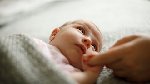 Baby - Foto: iStock/damircudic