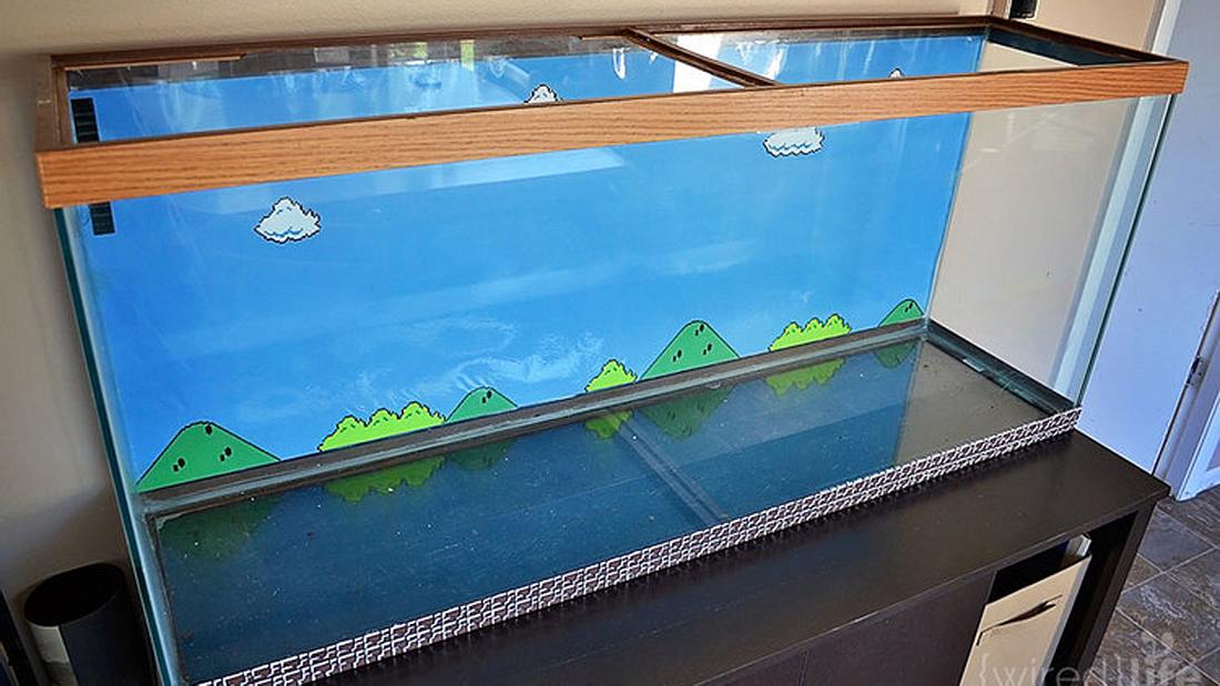 Das Super-Mario-Aquarium von Grafikdesignerin Kelsey Kronmiller