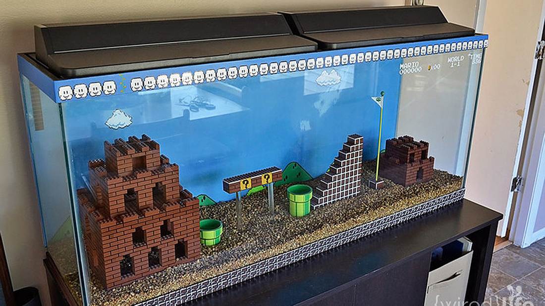 Super-Mario-Aquarium: Grafikdesignerin Kelsey Kronmiller hat eine Bauanleitung entworfen Das Super-Mario-Aquarium von Grafikdesignerin Kelsey Kronmiller