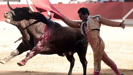 Matador Ivan Fandino stirbt nach der Attacke eines Bullen während eine Stierkampfes - Foto: twitter/theguardian