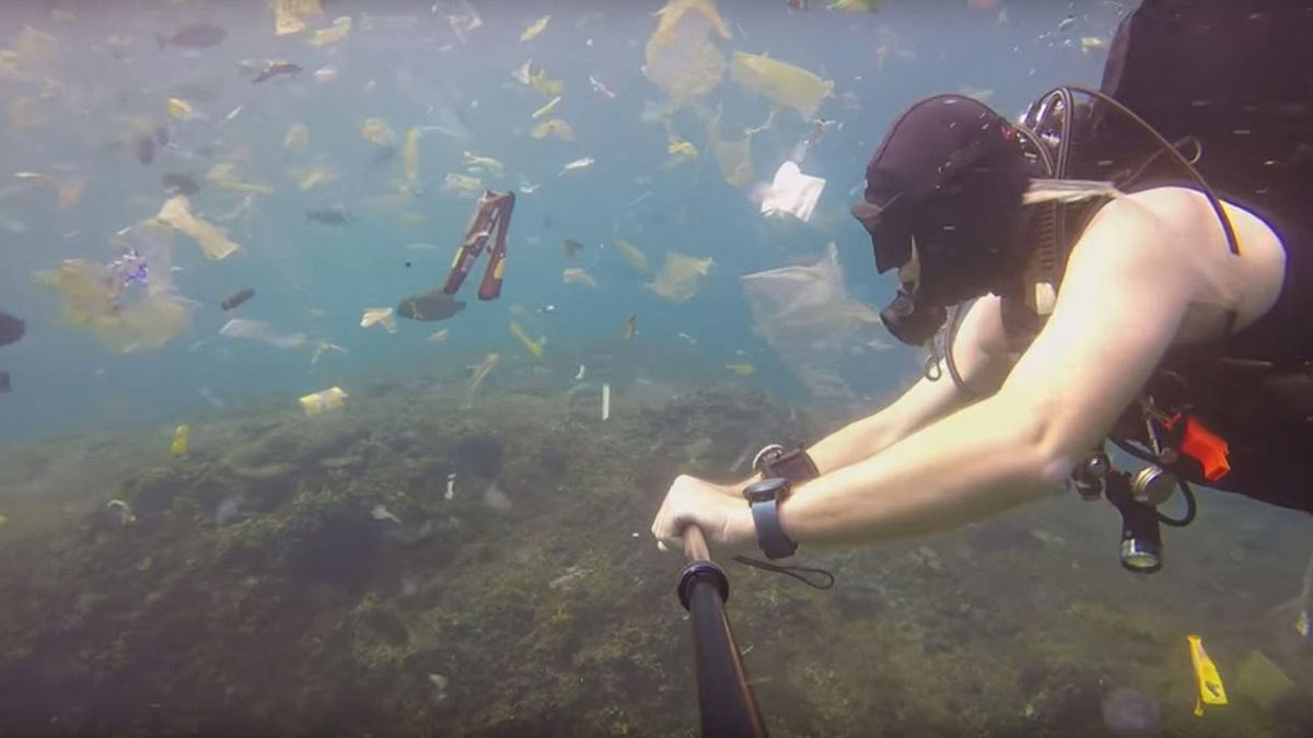 Video eines Tauchers zeigt drastischen Grad an Meeresverschmutzung