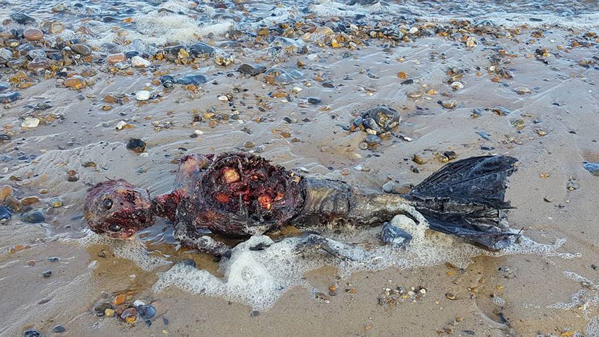 Mann findet die Überreste einer Meerjungfrau am Strand 