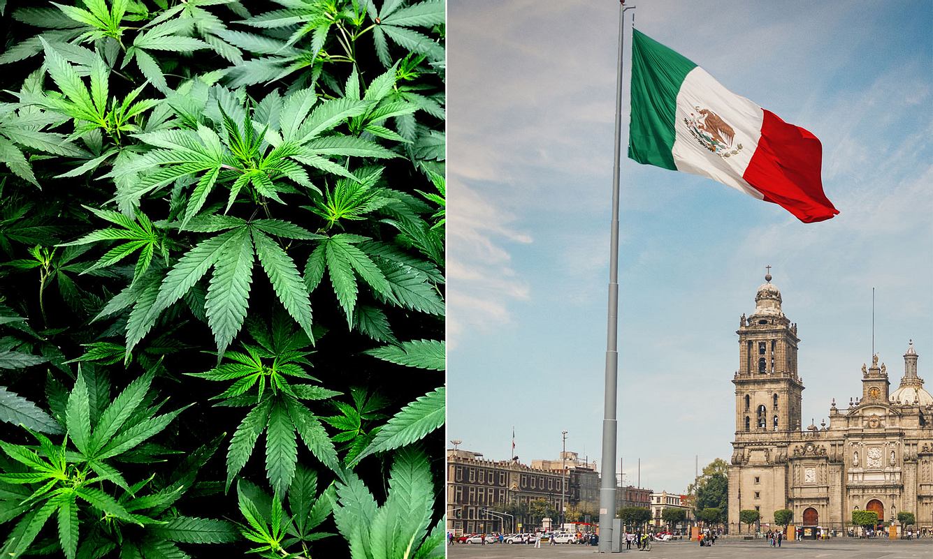 Cannabis und mexikanische Fahne in Mexiko Stadt