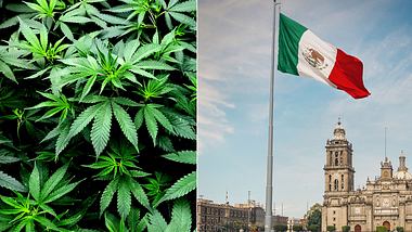 Cannabis und mexikanische Fahne in Mexiko Stadt - Foto: iStock/diegograndi, iStock/skodonnell