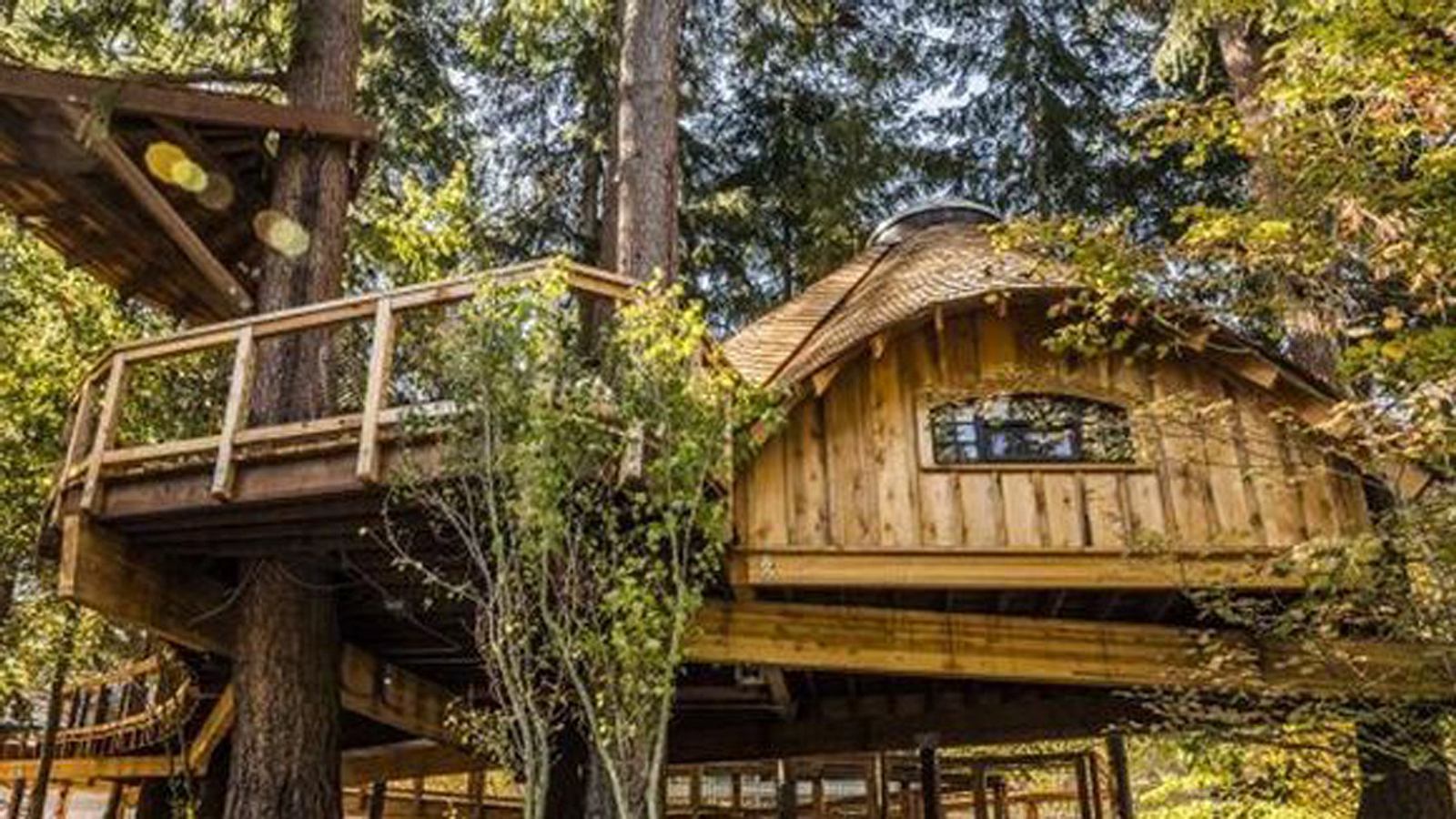 Baumhäuser: Microsofts coolste Büroräume | Männersache